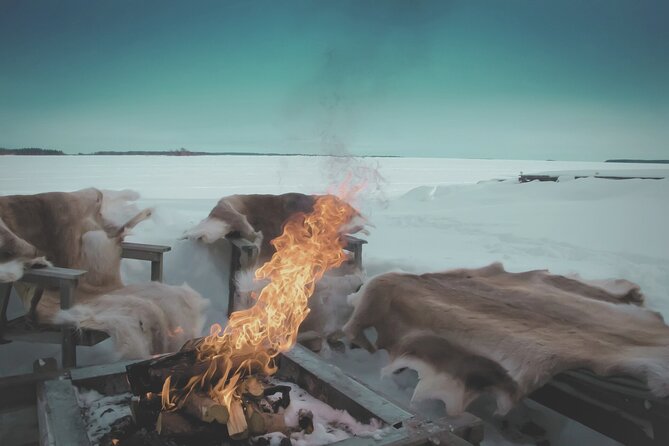 Arctic Darkness & Starlight Adventure with Snowshoes - Who this snowshoe aurora night is best for