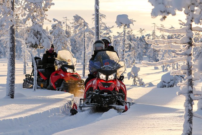 Arctic Delight - Visit to Santa's Village and snowmobiling to reindeer farm - Guide Quality and Group Size, What Your Day Depends On