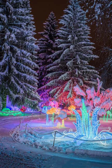 Arctic Fantasy Park Entry Ticket - Snow Castle, Snow Labyrinth, Ice Slides, and the Carousel Sled