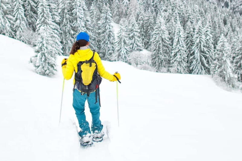 Arctic Gateway: Snowshoeing Expedition in Lapland - Key Things I’d Prioritize on This Snowshoeing Trip