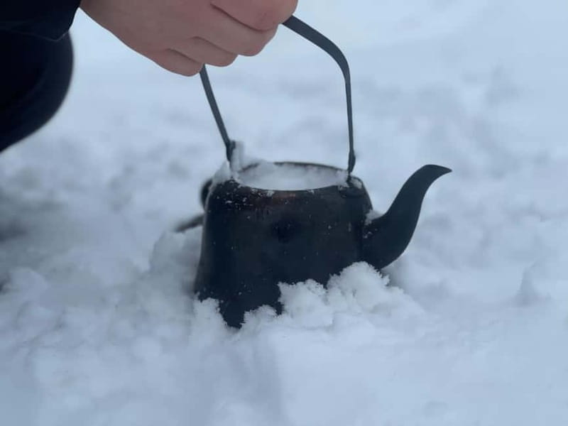 Arctic Gateway: Snowshoeing Expedition in Lapland - Why 3 Hours of Snowshoe Silence Feels Like a Reset in Lapland