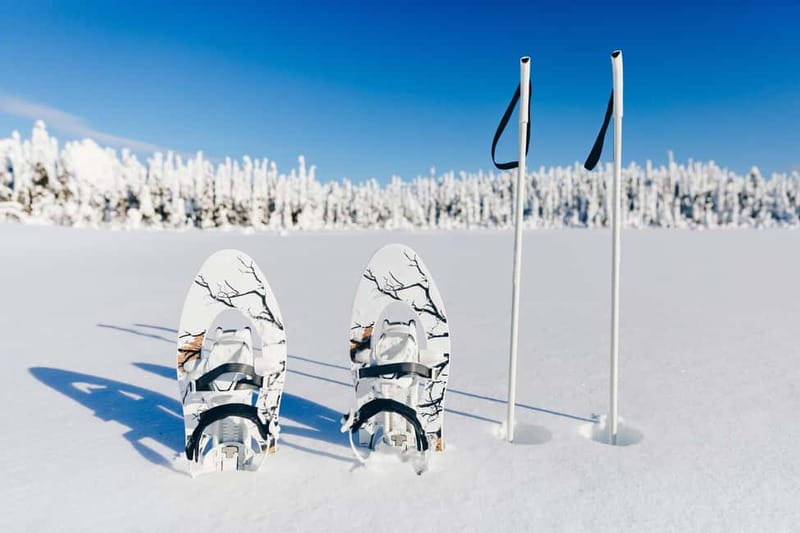 Arctic Gateway: Snowshoeing Expedition in Lapland - Should You Book Arctic Gateway Snowshoeing With Wild Wonder?