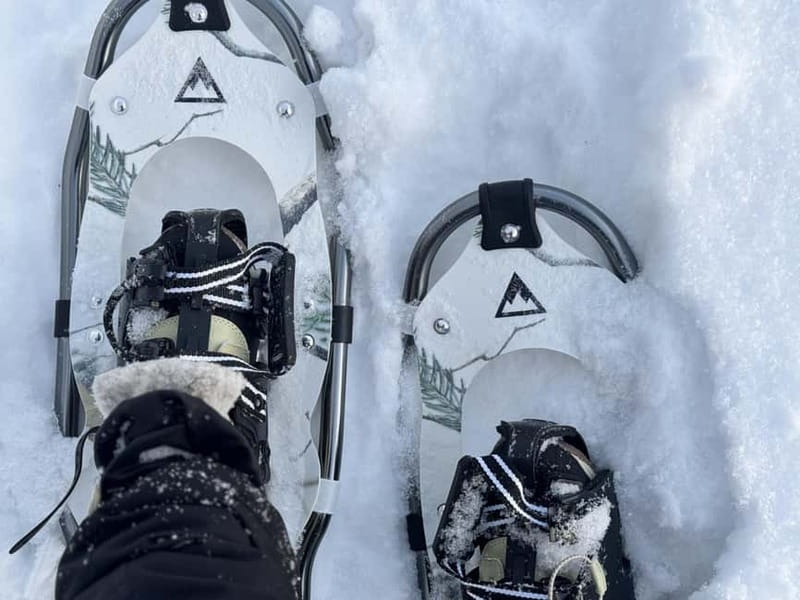 Arctic Gateway: Snowshoeing Expedition in Lapland - Getting There From Rovaniemi: Pickup Options and the Van Ride