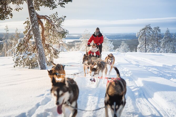 Arctic Husky Adventure in Rovaniemi - Getting There: The Rovakatu 25 Meet-Up