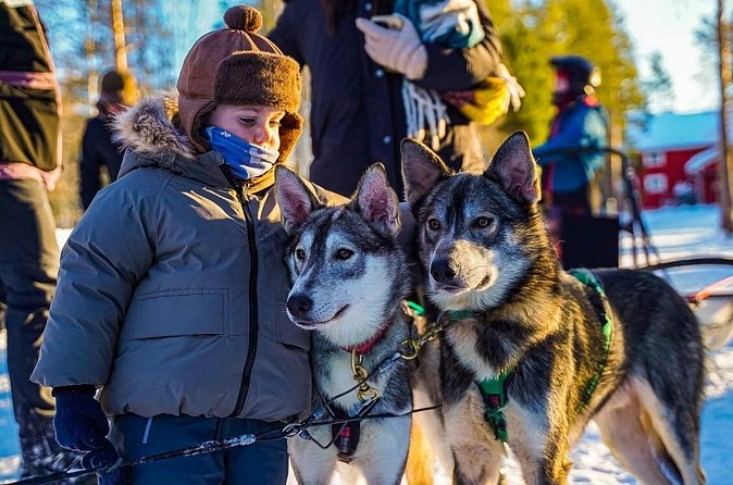 Arctic Husky Adventure in Rovaniemi - Photo Break in the Wilderness: Take the Moment, Don’t Rush It