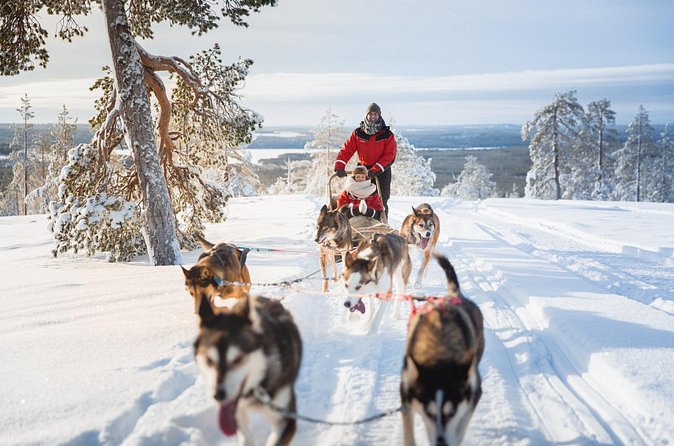 Arctic Husky Adventure in Rovaniemi - Kennel Visit and Husky Stories in a Kota