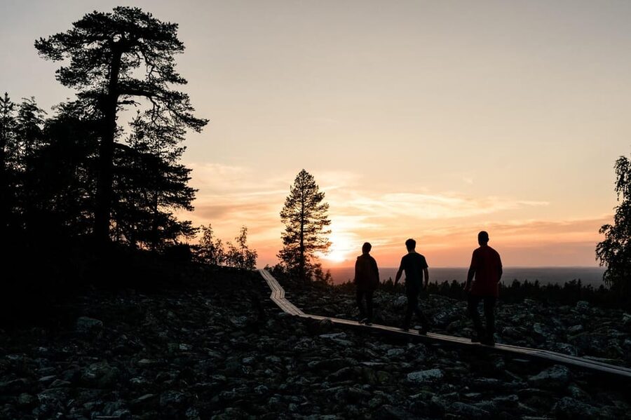 Arctic Wilderness Hike from Rovaniemi (Day & Evening) - What to wear, and who should skip this hike
