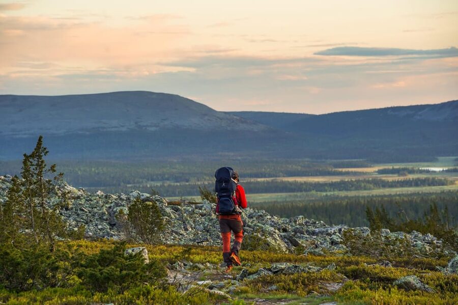 Arctic Wilderness Hike from Rovaniemi (Day & Evening) - The survival lessons you actually hear on the trail