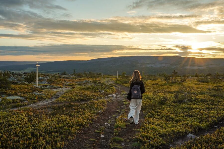 Arctic Wilderness Hike from Rovaniemi (Day & Evening) - Price and value at about $117: what you get for your money