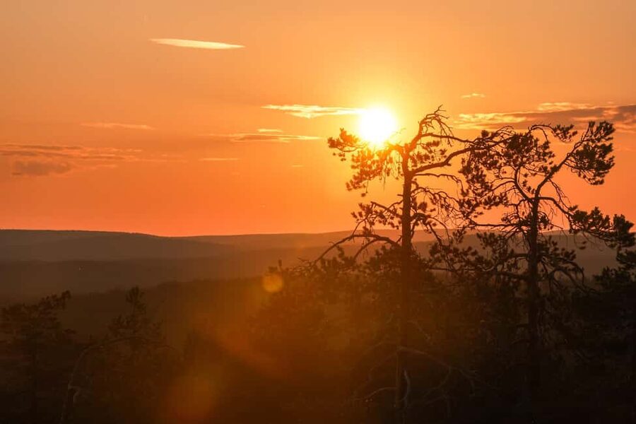 Arctic Wilderness Hike from Rovaniemi (Day & Evening) - The hike itself: a manageable 4 to 5 km route with viewpoint goals