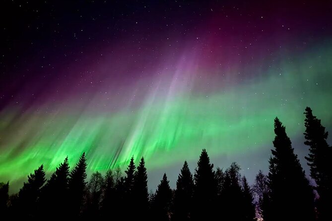 Aurora BBQ in the Private Place in Rovaniemi - Key things I’d clock before you go