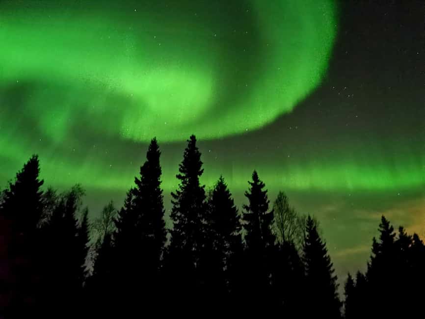 Aurora BBQ in the Private Place in Rovaniemi - Practical Tips Before You Go (So You Stay Comfortable)