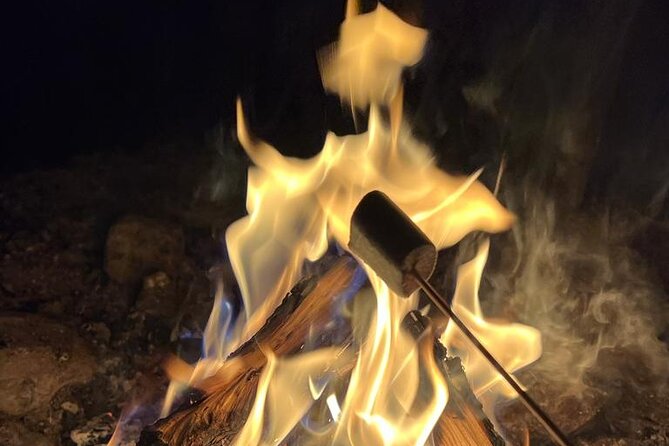 Aurora BBQ in the Private Place in Rovaniemi - Meeting in Rovaniemi, Then a Quick Drive to the Private Kota