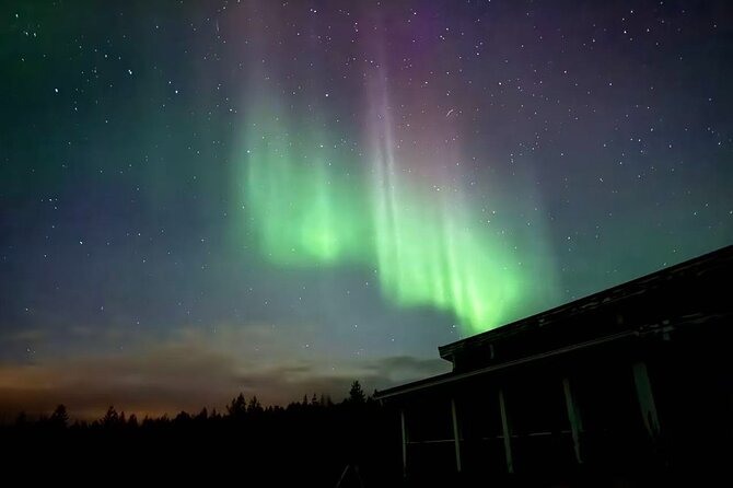 Aurora BBQ in the Private Place in Rovaniemi - Northern Lights Viewing: Not Guaranteed, Still Worth It