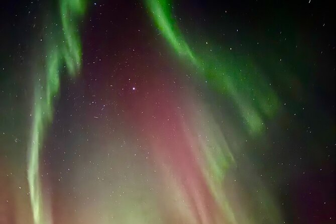 Aurora BBQ in the Private Place in Rovaniemi - Departure Times and Group Size for a Calmer Night