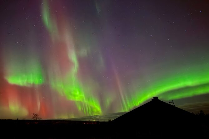 Aurora BBQ in the Private Place in Rovaniemi - The 3-Hour Flow Around Rovaniemi, With Real Time to Watch