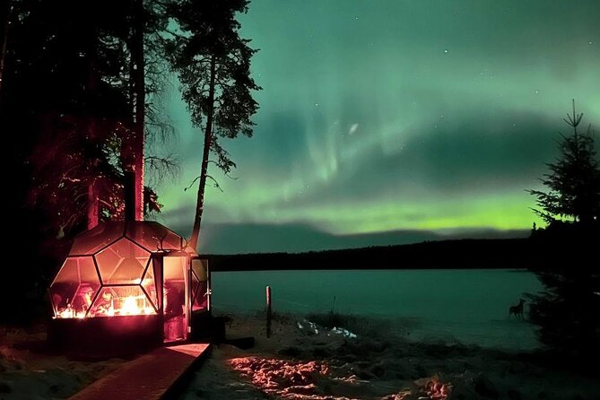 Aurora Borealis Dinner in a Glass Igloo - Aurora Borealis Dinner in a Glass Igloo: why this night works in Rovaniemi