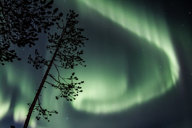 Aurora Borealis Picnic in Rovaniemi - The Lappish picnic in the snow, with hot drinks to keep you going