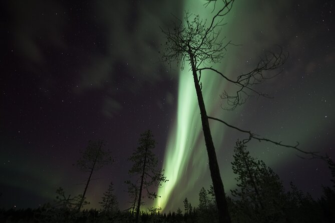Aurora Borealis Picnic in Rovaniemi - What the guides do, and why it shows up in the reviews