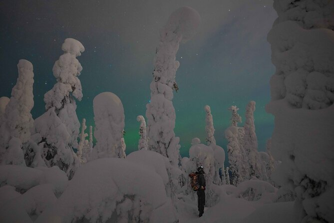 Aurora Borealis Snowshoeing Adventure by Night from Rovaniemi - Key things to know before you go