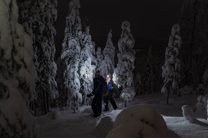 Aurora Borealis Snowshoeing Adventure by Night from Rovaniemi - Night Snowshoeing With a Real Goal: Darker Sky Minutes