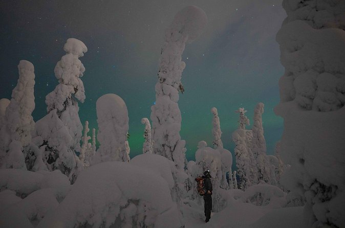 Aurora Borealis Snowshoeing Adventure by Night from Rovaniemi - What the Guide Adds: Science, Stories, and Spotting Skills