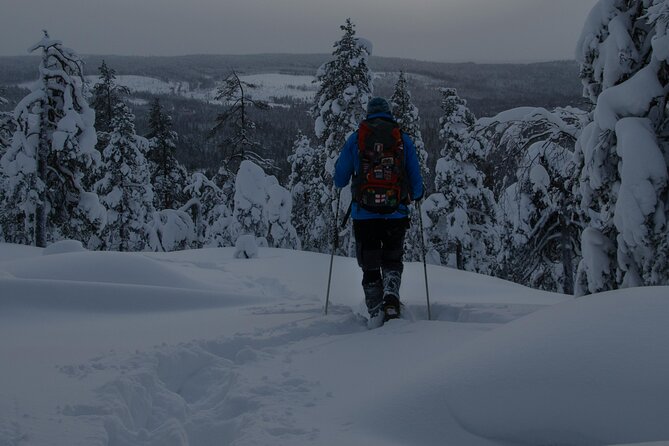 Aurora Borealis Snowshoeing Adventure by Night from Rovaniemi - Price and Inclusions: Why This Often Feels Like Good Value