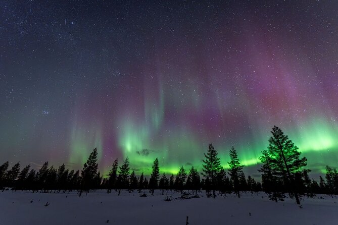 Aurora Guarantee: Ultimate Northern Lights Experience - Guides you might meet: Juan, Claudia, Simona, and why personality matters