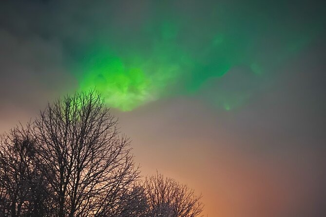 Aurora Hunt with BBQ in Rovaniemi - The 8:00 pm timing, pickup zone, and Santa Claus Village link
