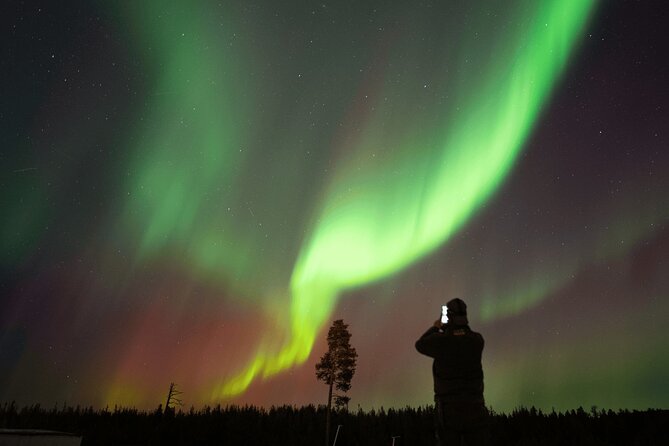 Aurora Hunting by Minivan in Ivalo, Inari or Saariselkä - Key highlights to look for