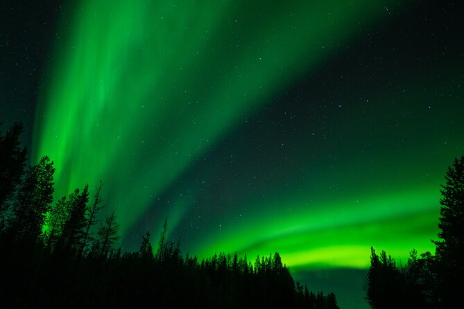 Aurora Hunting by Minivan in Ivalo, Inari or Saariselkä - Stop 4 the long hunt: the best time window for real aurora moments