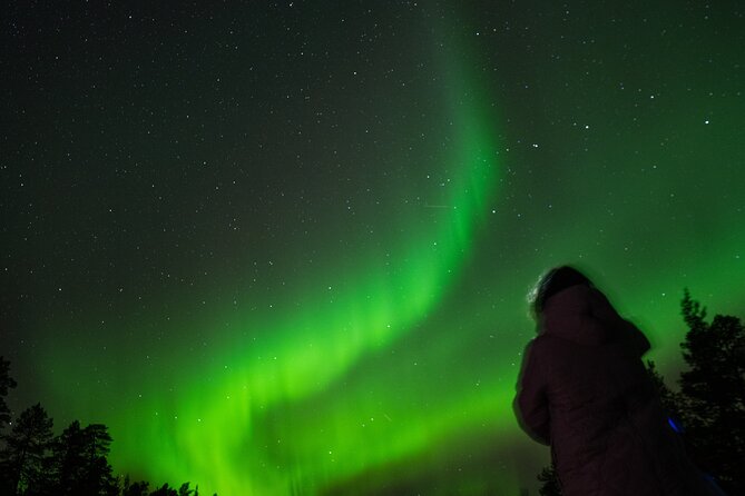 Aurora Hunting by Minivan in Ivalo, Inari or Saariselkä - Who should book this aurora minivan hunt