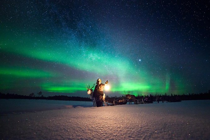 Aurora Hunting by Reindeer Sleigh - Key highlights I’d put on your short list