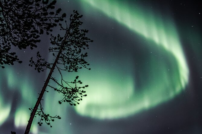 Aurora Hunting Photo Tour from Rovaniemi with Pickup - Photo Support That Feels Practical, Not Just Educational