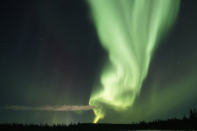 Aurora Hunting Photo Tour from Rovaniemi with Pickup - Aurora Viewing by Bus: Several Spots, Better Odds