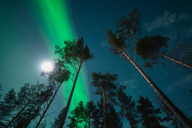 Aurora Photography Expedition with Video - Video and Photos Delivered After the Hunt, Based on Aurora Intensity