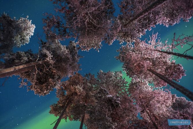 Aurora Photography Tour 3 HOURS - Stop 2: Inari with multiple dark-sky locations and shifting plans
