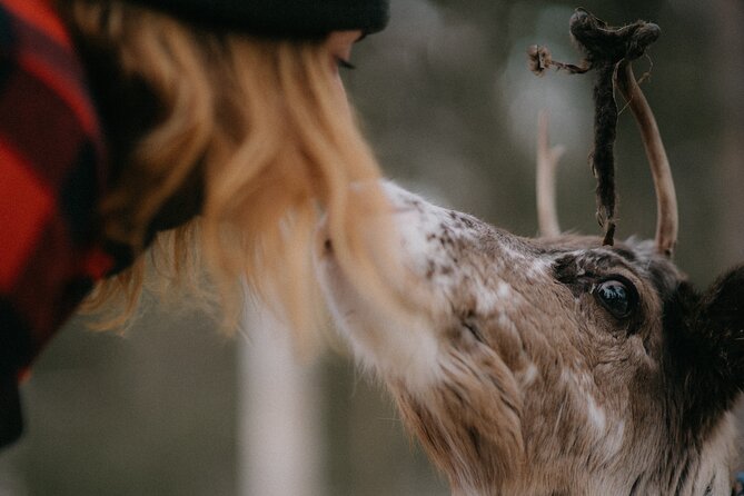 Authentic Reindeer Experience and Ice Fish with Lunch in the Wild - Who This Tour Suits Best (and Who Might Prefer Something Else)