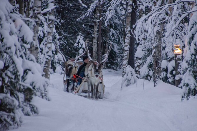 Authentic Reindeer Farm Experience in Rovaniemi - Tea, Cookies, and a Traditional Break From the Cold