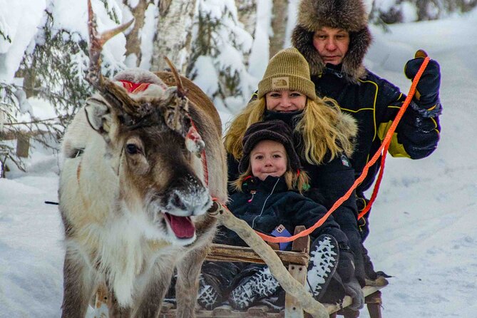 Authentic Reindeer Farm Experience in Rovaniemi - The Short Sleigh Drive (400 m): A Skill Test, Not a Long Safari
