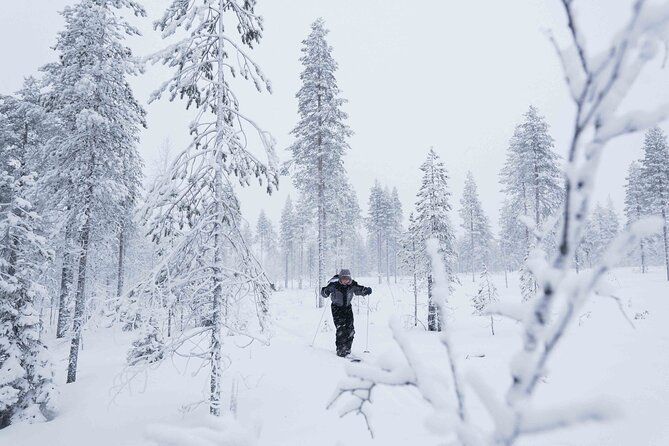 Backcountry skiing adventure - Getting There: Pickup, Minivan Ride, and the Forest Arrival Moment