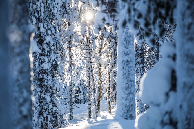 Backcountry skiing adventure - Guided Backcountry Photography: How You Get Better Pictures