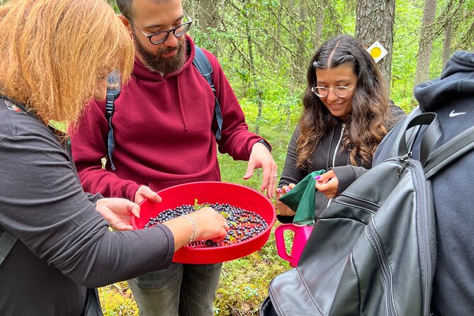 Berry Picking in a National Park - Sustainable Travel in Practice: No Plastic Bottles, Real Labeling