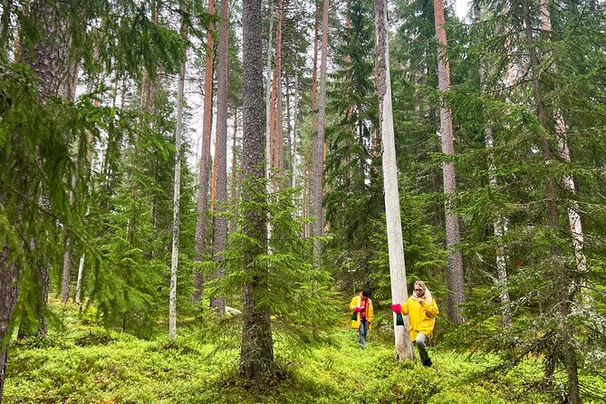 Berry Picking in a National Park - Price and Timing: Is It Worth $186.64 for a Full Day?