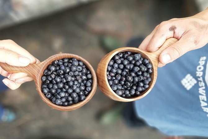 Berry Picking in a National Park - Who Should Book This Berry Picking Day Trip