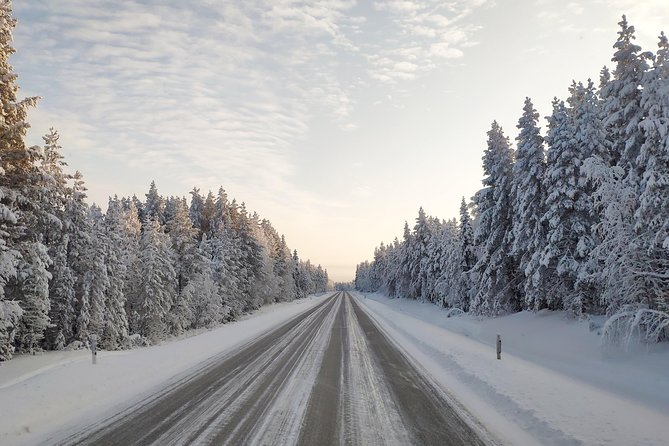 Best Of Lapland: Sauna, Ice swimming, Dinner & Northern Lights - Dinner by Open Fire: Smoked Salmon, Warmth, and Real Conversation