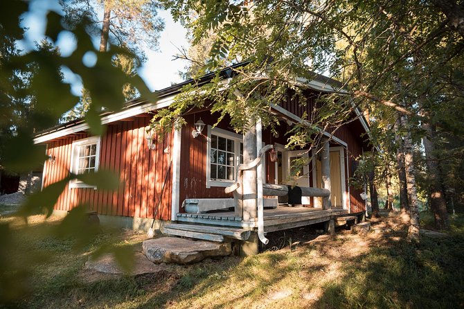 Best Of Lapland: Sauna, Ice swimming, Dinner & Northern Lights - Price and Value: What $189.94 Covers (and Why It’s Not Just a Tour Ticket)