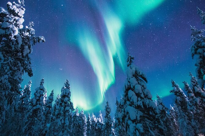 Bus Tour with Hunting Northern Lights - Price and Value: What You’re Paying For