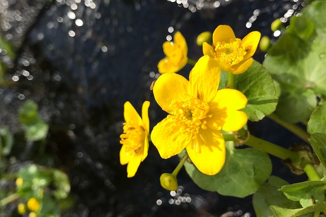 Canoe Trip in Lapland - Photography Tips That Keep You Out of Trouble