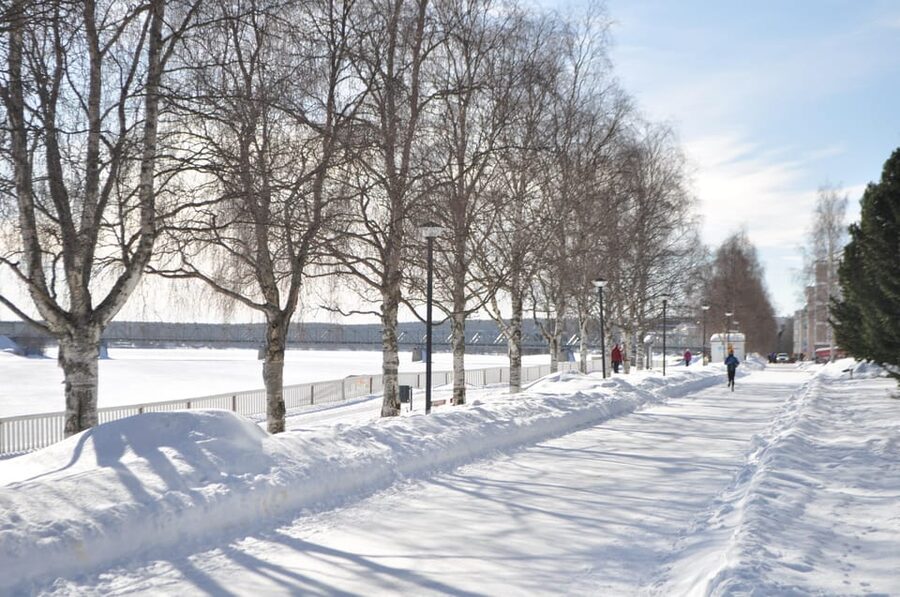 City tour and Santa Claus village visit in Lapland - Rovaniemi City Tour, Guided History, and the Santa Branding Story